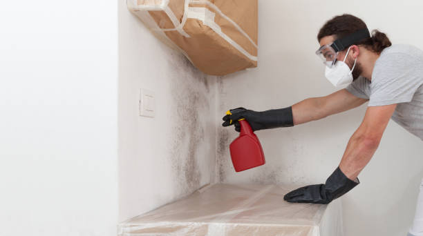 Professional Attic Mold Remediation technician working in Mound, MN
