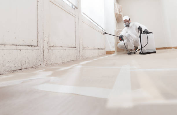 24/7 Emergency Attic Mold Remediation experts in Mound, MN